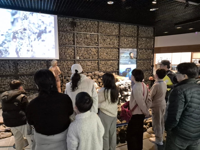 제주 (6).jpg